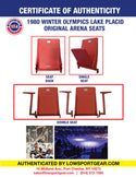 1980 Miracle on Ice Arena Seat TWO CHAIRS, WITH ARM RESTS