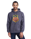 Official USA hockey NDTP Chenille Logo hoodie