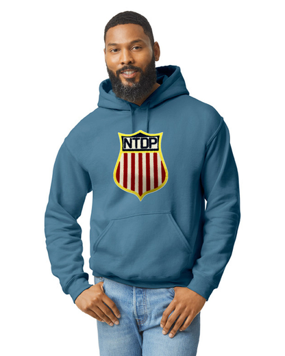 Official USA hockey NTDP Chenille Logo hoodie