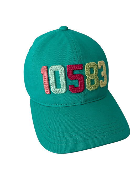 10583 Rye Brook NY High Quality 3D Embroidered Hat