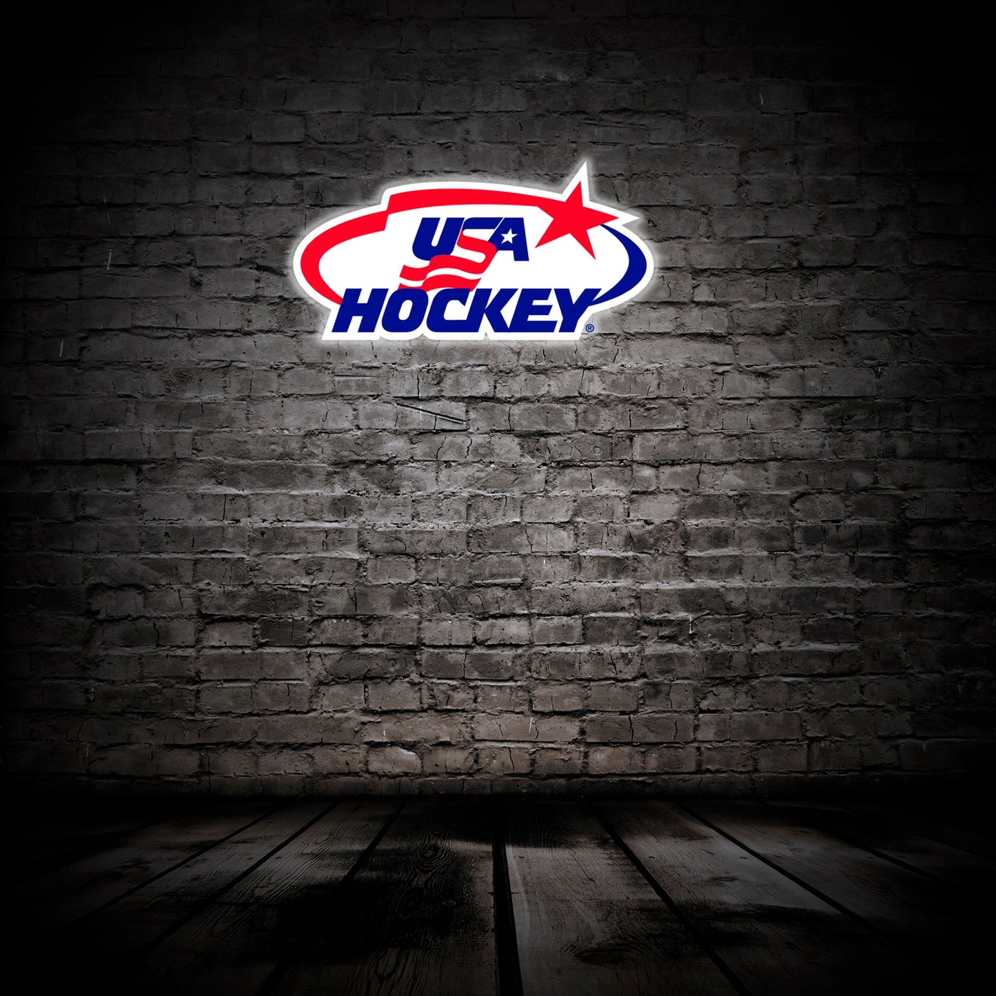 USA Hockey logo Wall Art