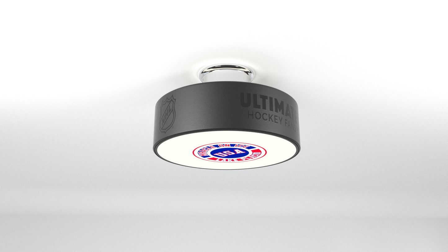 Miracle on Ice logo Hockey Puck Light Fixture